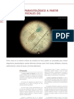 Cys - 29 - 22-24 - Diagnóstico Parasitológico A Partir de Muestras Fecales (II)