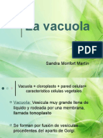 VACUOLA