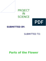 Project IN Science: Parts of The Flower