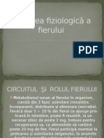 Acţiunea Fiziologică A Fierului