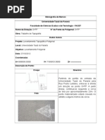 Monografia de Pontos