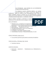 Algunos Entes Patogenos Que Surgen en Los Diferentes Niveles Del Sistema Gastrointestinal