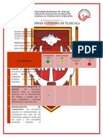 1raAutoevaluación2doparcial ELI