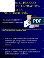 Apego en El Periodo Primal de La Practica Clinica A La Neurobiología Mario Valdivia Psiquiatra Infanto Adolescente