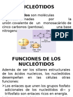 NUCLEÓTIDOS