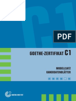 Goethe C1 Modeltest