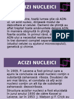 Aciz Nucleici-1