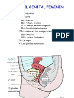 Cours Histologie Appareil Génital Féminin