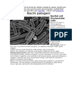 MicroBiolog i e