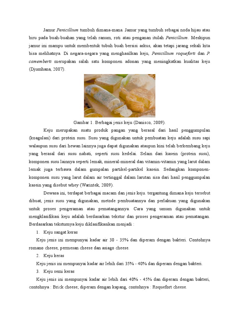 Penic I Llium | PDF | Teknologi & Rekayasa