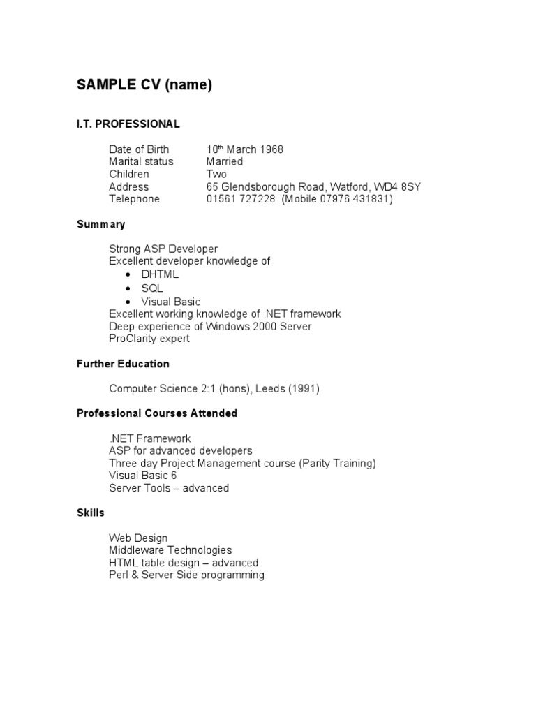 SAMPLE CV (Name) : I.T. Professional | PDF | Areas Of Computer Science ...