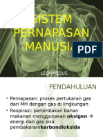 Sistem Pernapasan Manusia