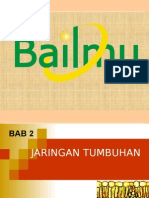 Bab 2 Jaringan Tumbuhan