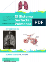 El Sistema Surfactante Pulmonar