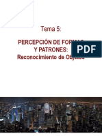 Tema5-PercepcionobjetosFinal