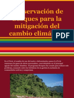 Conservación de bosques para la mitigación del cambio climático.pptx