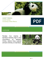 Giant Panda: Lorelei Guillen University of New Mexico