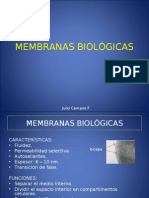 Membranas Biologicas (Teoria)