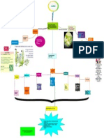 Mapa Conceptual ALGAS 