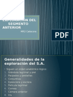 Exploracion Del Segmento Anterior