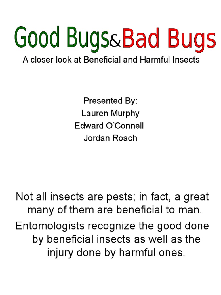 Beneficial and Harmful Insects Insects Bees