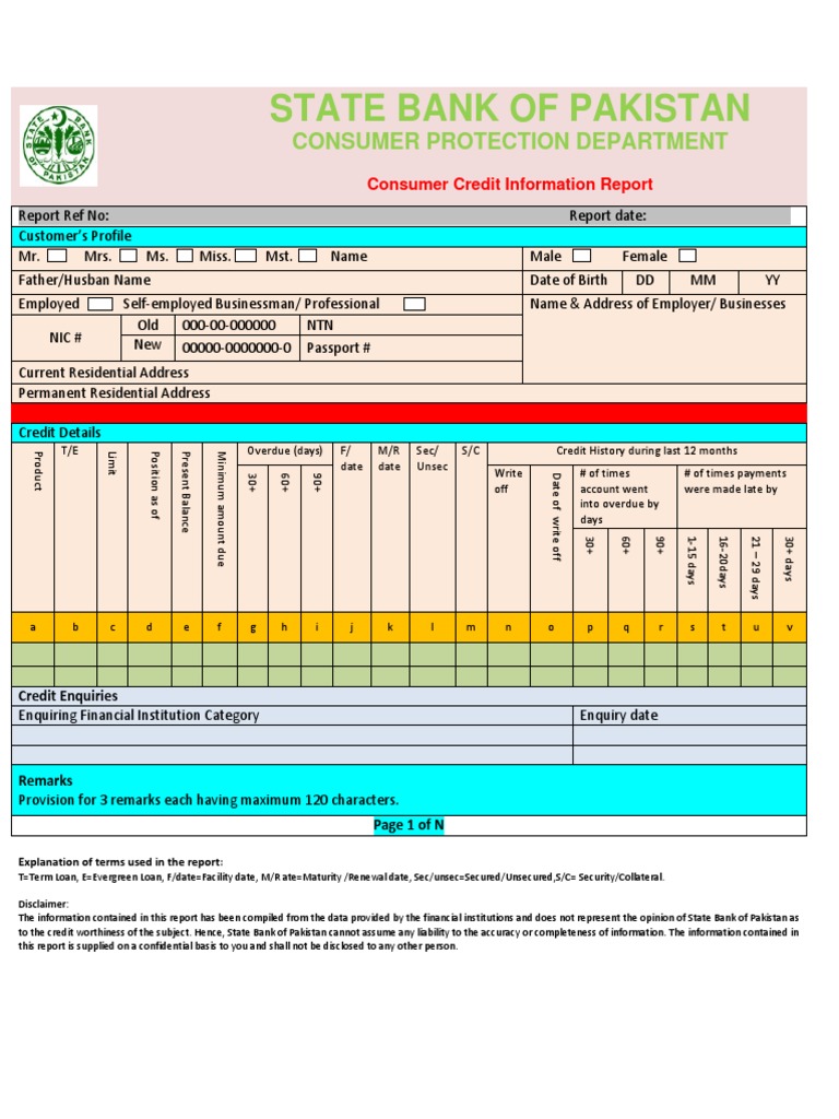 Consumer Credit Report Format | Credit History | Credit (Finance)