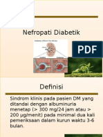 Nefropati Diabetik