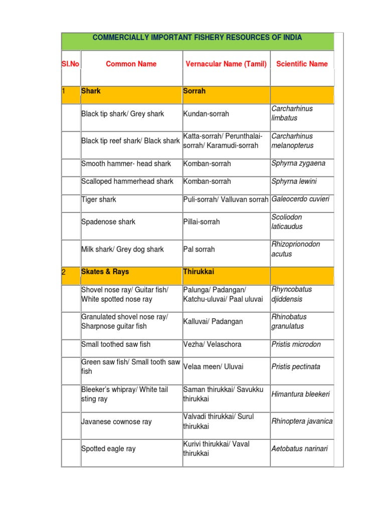Tamil Names of Important Fish Species | PDF | Tuna | Aquatic Animals