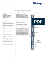 Flexpac Packer Ps