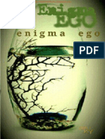 Enigma Ego