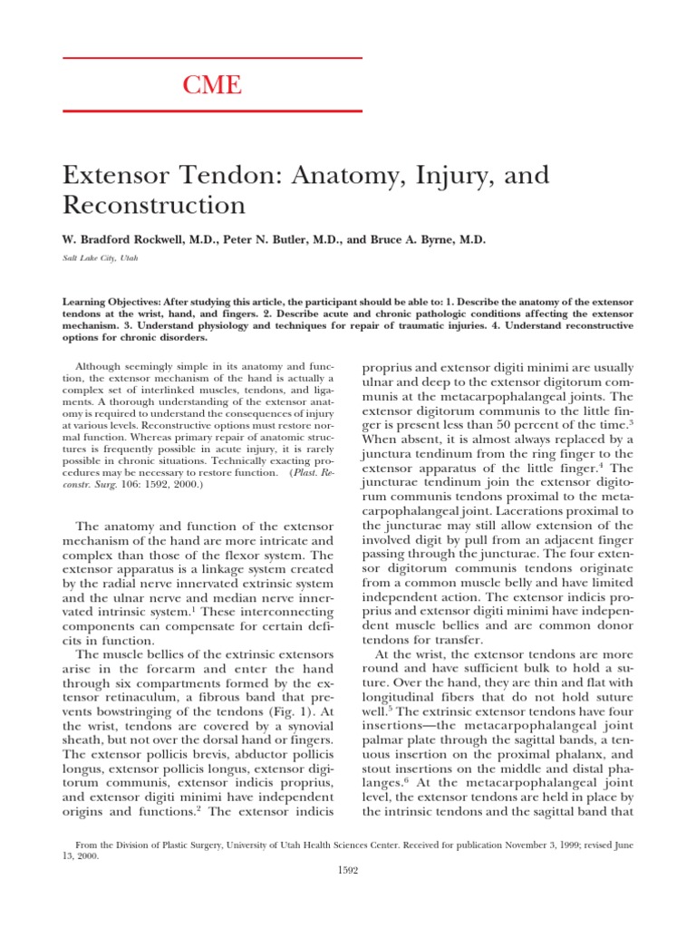0012-Extensor Tendon Anatomy | Finger | Thumb