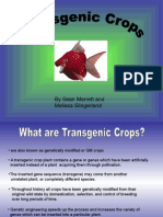 Transgenic Crops