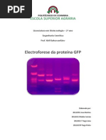 Eletroforese de GFP