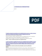 Como Descalcificar y Desintoxicar La Glándula Pineal