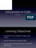 Introduction To Cells