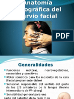 Nervio Facial