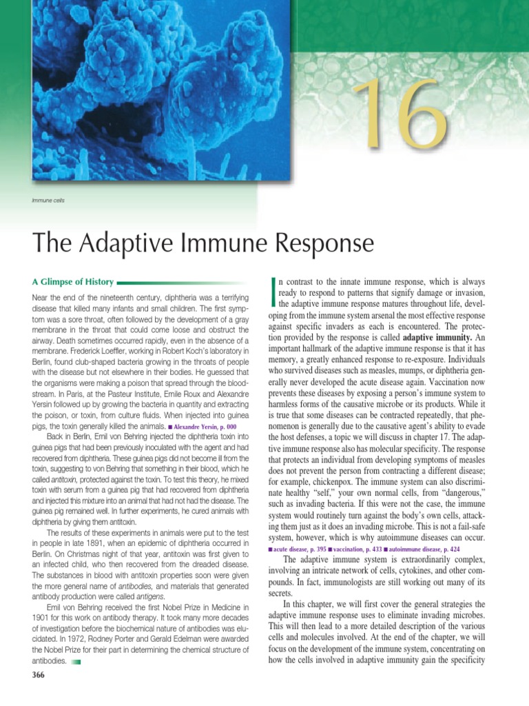 Understanding Adaptive Immunity | PDF | Lymphatic System | Adaptive ...
