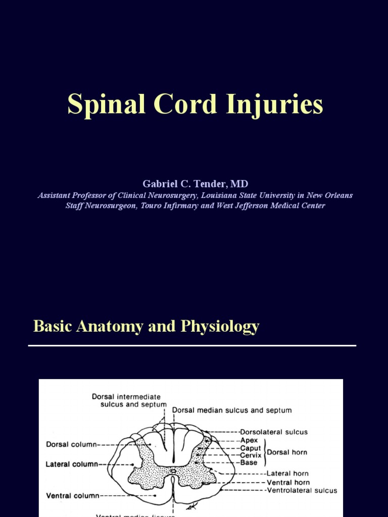 Spinal Cord Injury Management Overview | PDF | Spinal Cord Injury ...