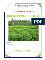 Lap Du An Lam Nghiep Trong Rung