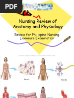 Download anatomy  physiology slides by nursereview SN2871693 doc pdf