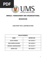 Lighting Action Case Study Report