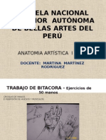 Anatomía Del Cuerpo Humano - Anatomía Artística I 2014