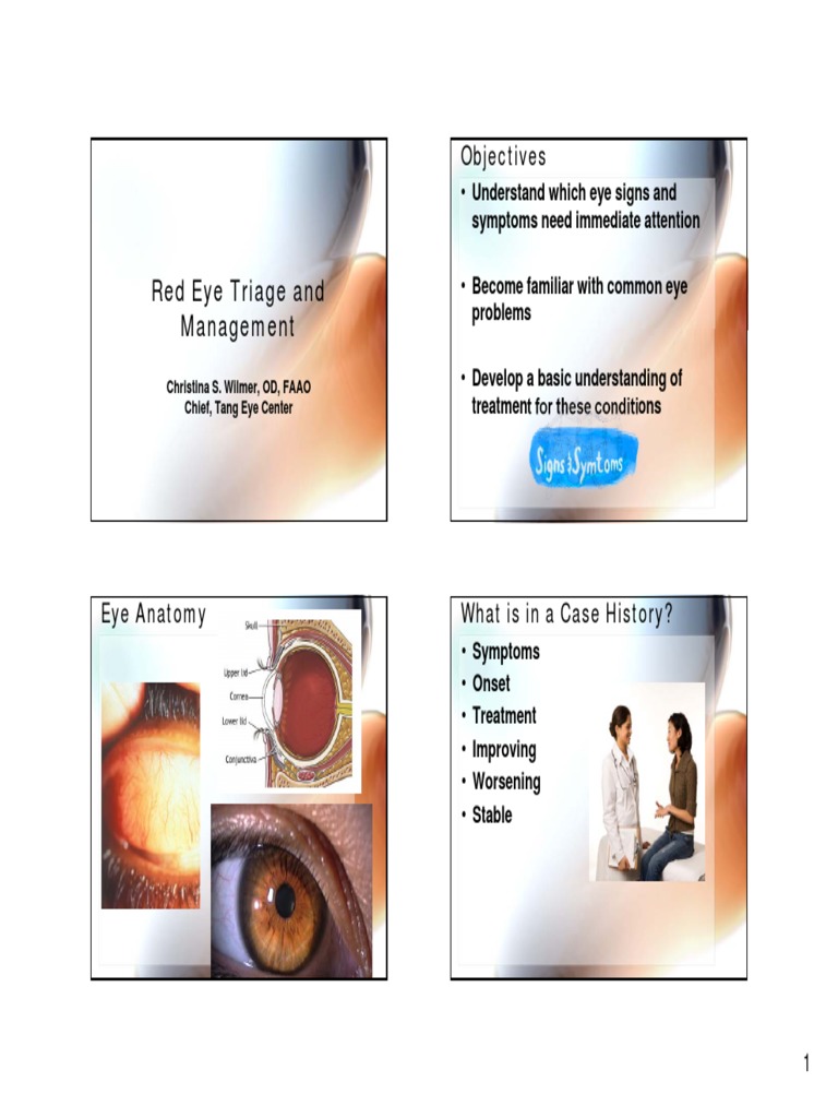Red Eye Triage and Management Objectives PDF Vision Ophthalmology