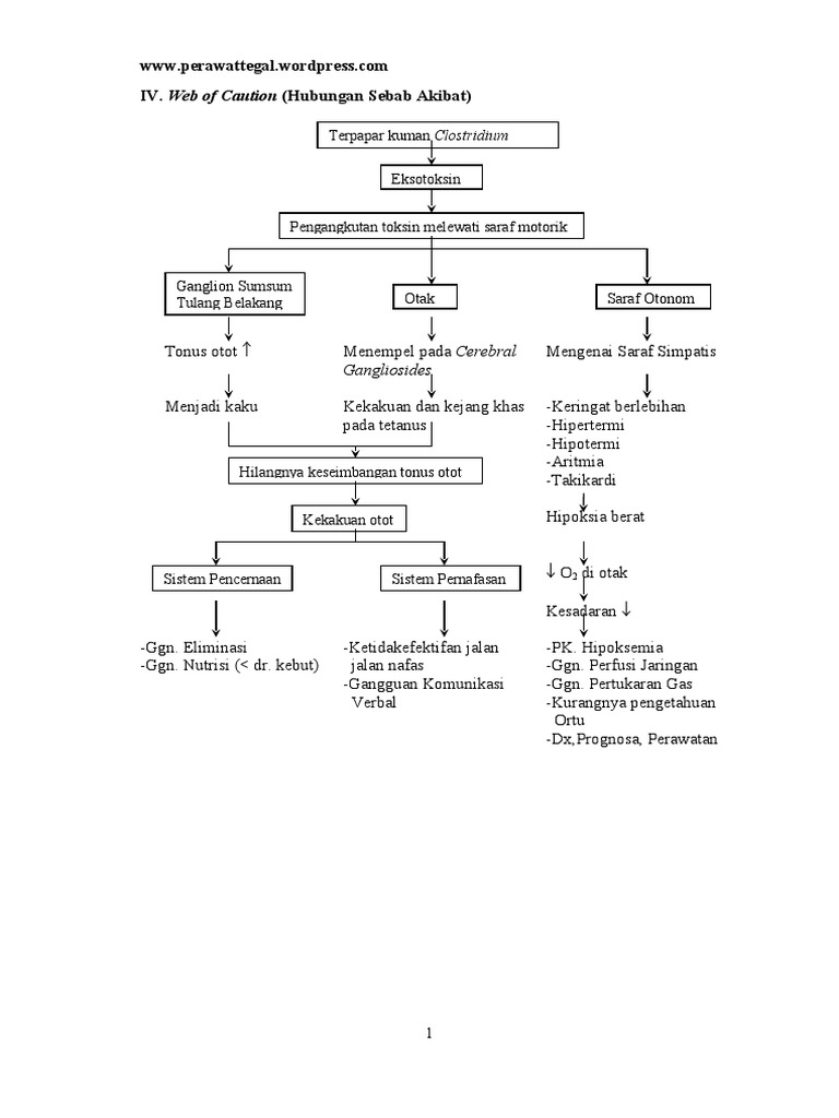 Pathway Tetanus Pathway Tetanus
