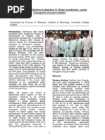 Download Summer Vacation Studentship Reports 2015 by Rachel Burnett SN287235857 doc pdf