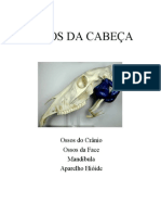 Ossos Da Cabeça