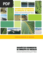 Diagnostico Geoambiental Do Municipio de Fortaleza
