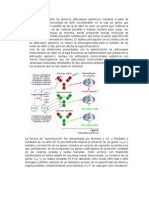 SEMINARIO 6 INMUNO