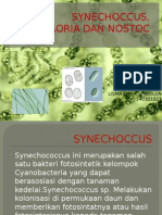 Persentasi Mikrobiologi Lisma