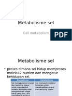 Metabolisme Sel